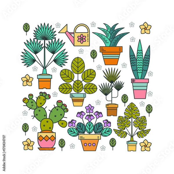 Fototapeta Flowers in pots. Potted plants. Arrangement of potted flowers in the shape of a square. Isolated on white background.