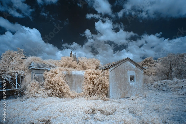 Obraz Abandoned Building with Overgrown Vegetation in Infrared