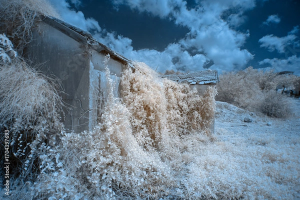 Obraz Abandoned Building with Overgrown Vegetation in Infrared