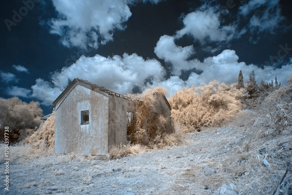 Obraz Abandoned Building with Overgrown Vegetation in Infrared