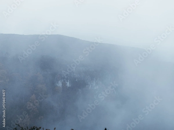 Obraz Misty mountain landscape with autumn forest