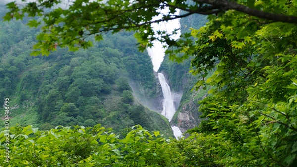 Fototapeta 歩く立山黒部アルペンルート八郎坂から夏景色称名滝