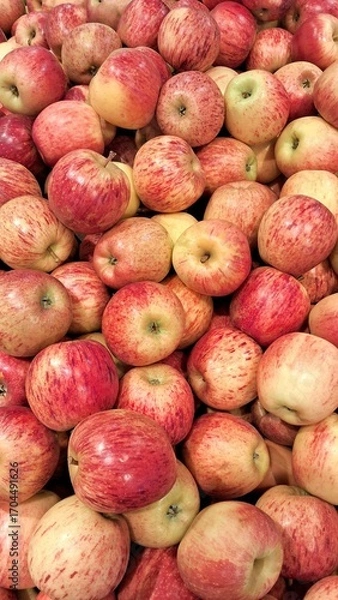 Obraz Colorful Apples in Large Quantities