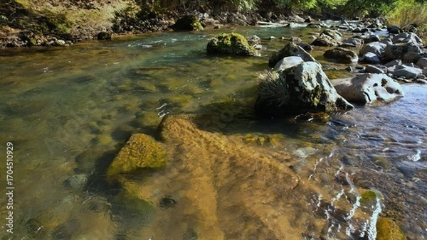 Obraz 水がきれいな渓流