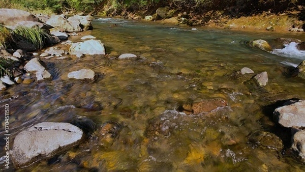 Obraz 水がきれいな渓流