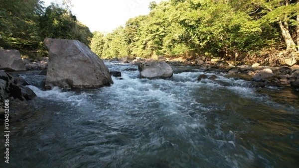 Obraz 水がきれいな渓流