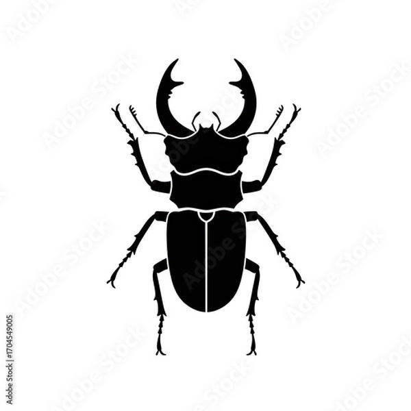 Fototapeta Dark Silhouette of a Beetle with Elegant Lines on Transparent Background: Ideal for Graphic Design Projects, Logos, and Branding Elements