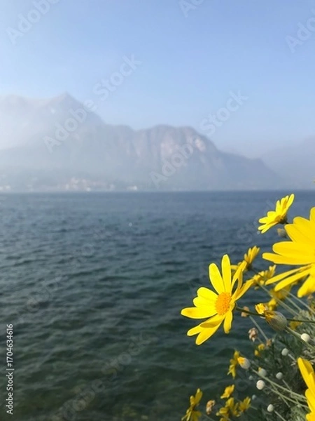 Obraz Lake in the Mountains