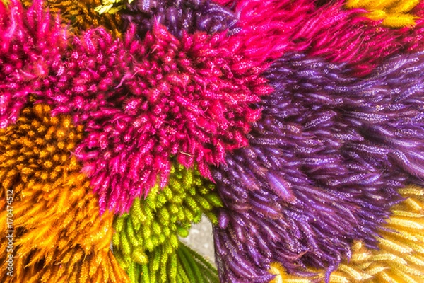 Obraz colorful background