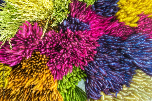 Obraz colorful background