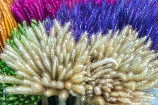 Obraz colorful background