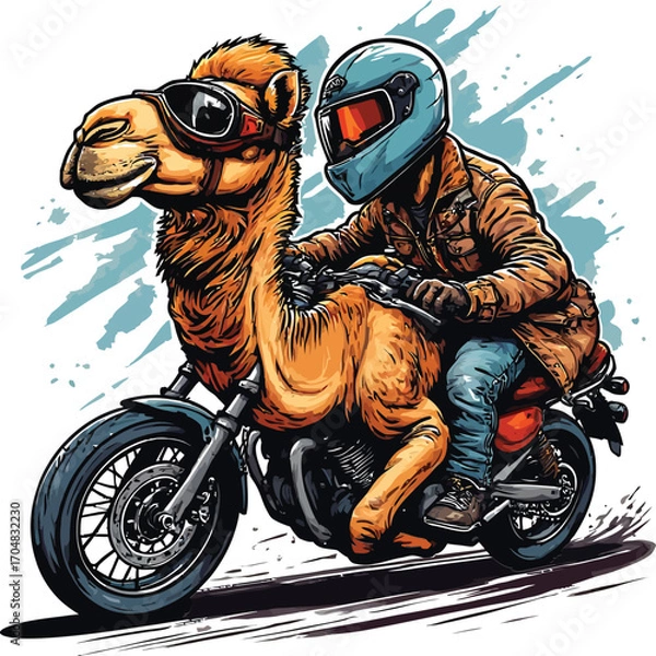 Fototapeta Funny camel and rider on a motorcycle with sunglasses and helmet
