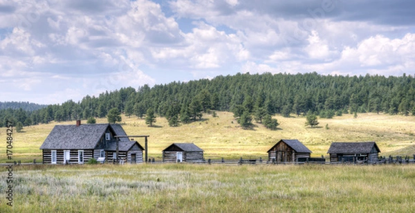 Fototapeta View of the 1878 A.D. Adeline Hornbek Homestead, a part of the Florissant Fossil Beds National Monument, neat Florissant, Colorado, U.S.A.