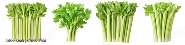 Fototapeta Fresh celery stalks arranged in a row, ready for culinary use.