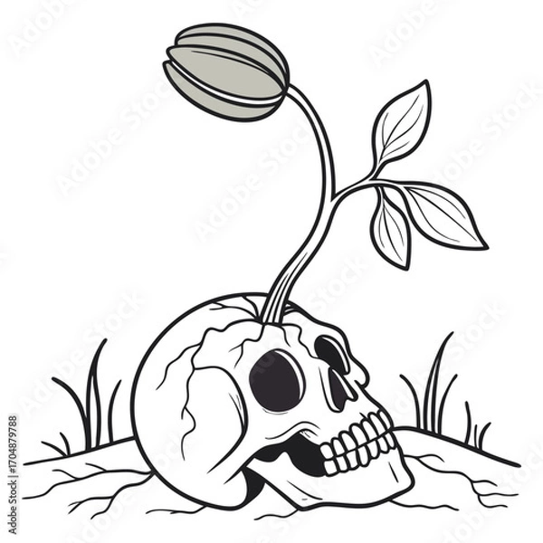 Obraz Adobe Illustrator Artwork