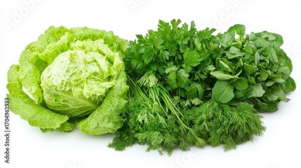 Fototapeta Fresh Green Lettuce and Assorted Aromatic Herbs Including Parsley, Dill, and Other Leafy Greens on a White Background for Culinary Use