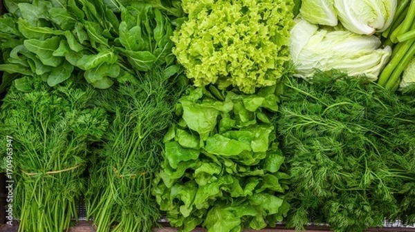 Fototapeta Fresh Green Vegetables Displayed in Bunches at Market Stall, Showcasing Vibrant Greens, Healthy Options for Cooking and Salad Preparation