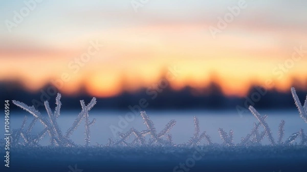 Fototapeta Frosty grass blades in forefront with blurred winter landscape and soft sunset hues creating a tranquil and serene atmosphere in cold weather setting