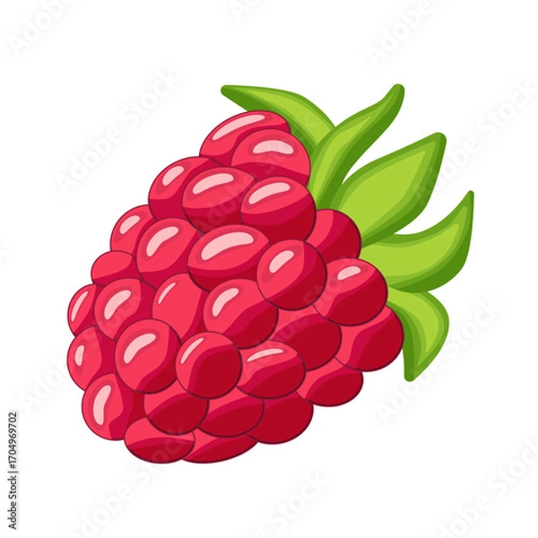 Fototapeta Raspberry isolated on white background. Raspberry. Wild berry.
