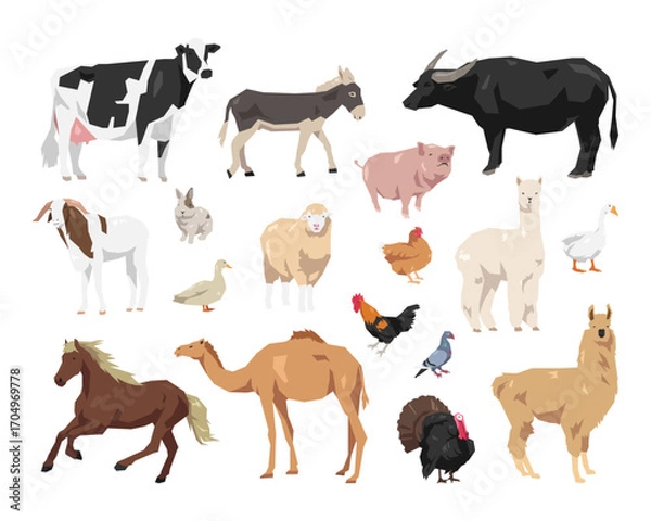 Obraz Vector set of farm animal. Cow, donkey, buffalo, pig, goat, rabbit, sheep, duck, chicken, goose, pigeon, horse, camel, turkey, alpaca, and llama. Flat geometric illustration.