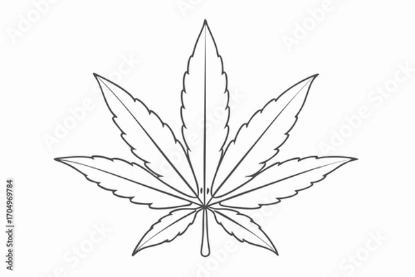 Fototapeta Leaf Line Drawing – Simple Botanical Outline Illustration