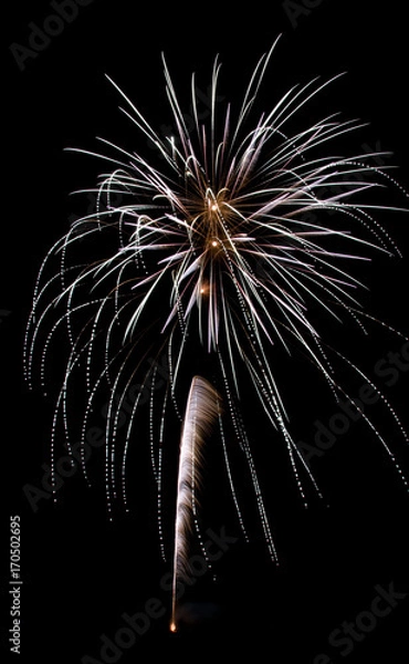 Fototapeta Feu d'artifice 