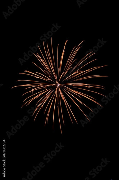 Obraz Feu d'artifice 