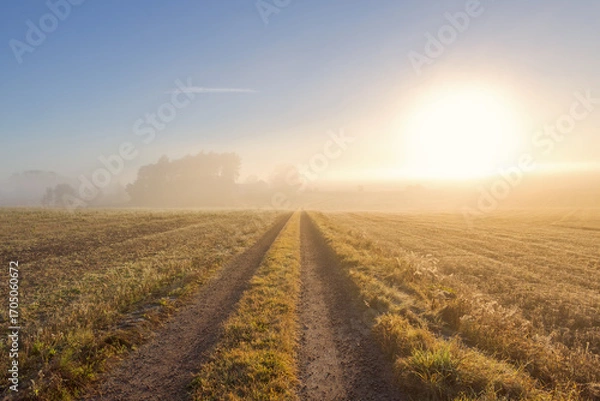 Fototapeta Dirt road on a field a misty autumn morning with the sun shining at the sky