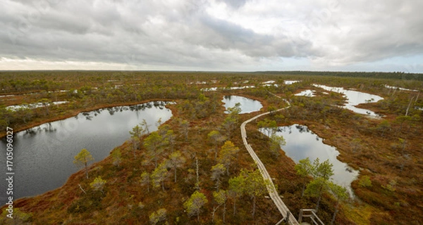 Obraz The wooden path between deep swamps