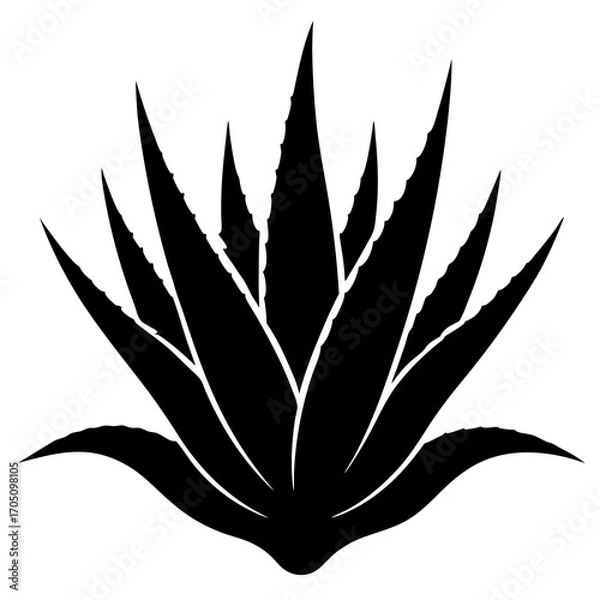 Obraz Tree silhouette on white background