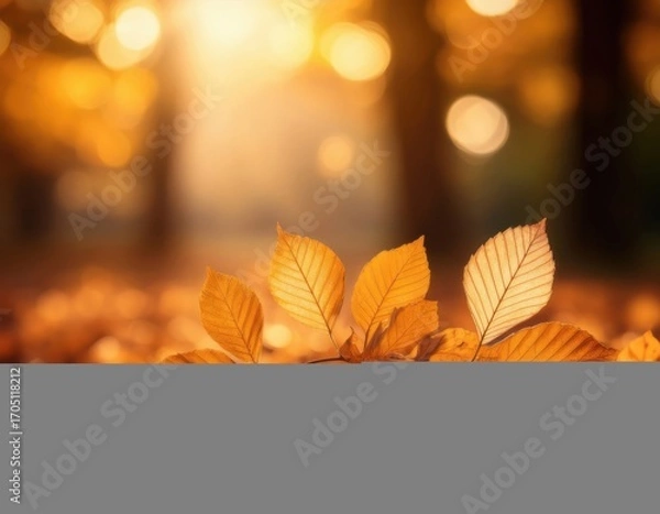 Fototapeta Close-up of golden autumn leaves on the ground with warm sunlight and soft bokeh background