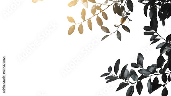 Fototapeta overlays overlay light transition effects sunlight lens flare light leaks isolated on a transparent background