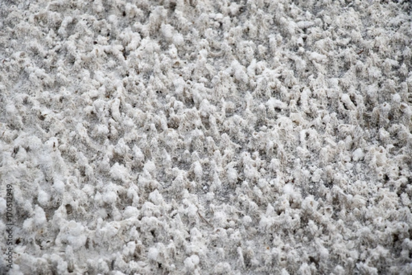 Fototapeta Funky White texture