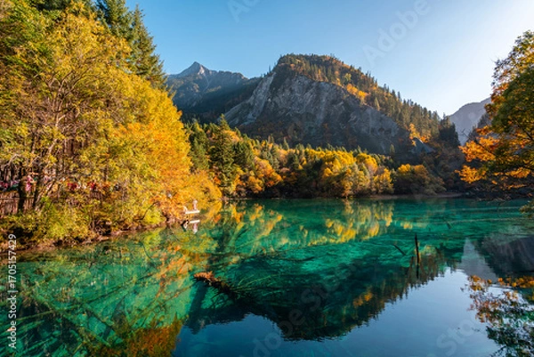 Fototapeta Autumn landscape in beautiful colorful nature scenic view at five flower lake in jiuzhaigou national park