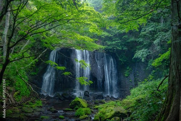 Obraz 達沢不動滝