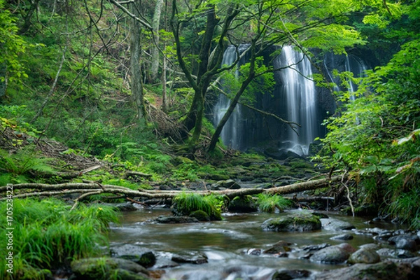 Obraz 達沢不動滝