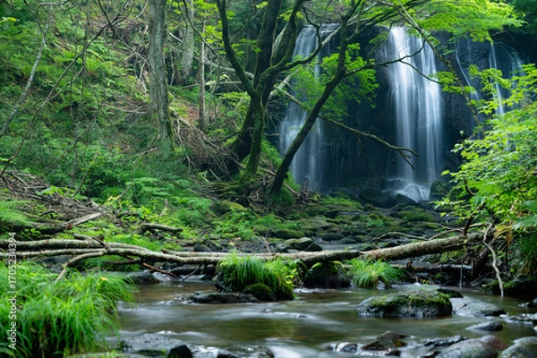 Obraz 達沢不動滝