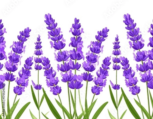 Obraz Lavender border pattern