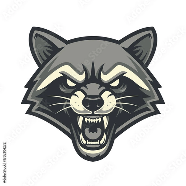 Fototapeta Illustration of a fierce raccoon face with bared teeth and angry eyes, a stylized mascot