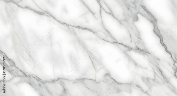 Obraz Elegant White Marble Texture with Gray Veins for Modern Design.