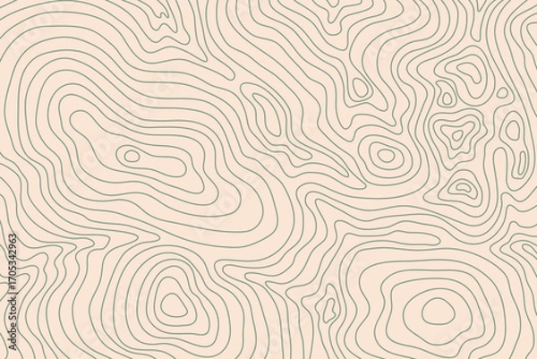 Fototapeta Abstract topographic map background. Green topographic terrain lines on a beige background. Topographic map contour lines backdrop.