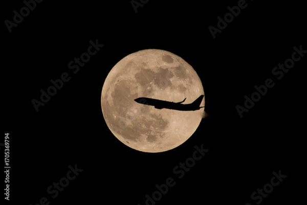 Obraz Fly to the moon