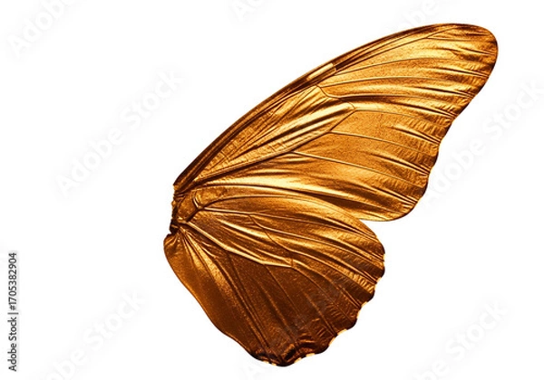 Obraz A detailed close-up view of a golden butterfly wing, showcasing intricate textures and rich hues against a striking black backdrop.