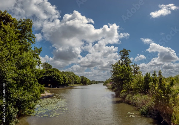 Fototapeta A serene stream in The Hague Uithof area flows gently, lined with lush green trees on both sides, while fluffy clouds dot a bright blue sky. The scene is peaceful and idyllic.