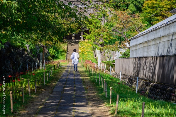 Fototapeta 彼岸参り