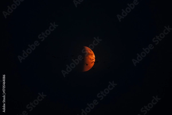 Obraz Blood Moon Eclipse 09.07.2025