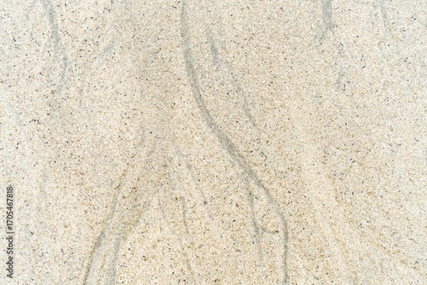 Obraz 砂浜テクスチャ