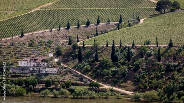 Fototapeta Douro Valley