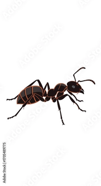 Obraz A detailed illustration of a black ant on a white background.