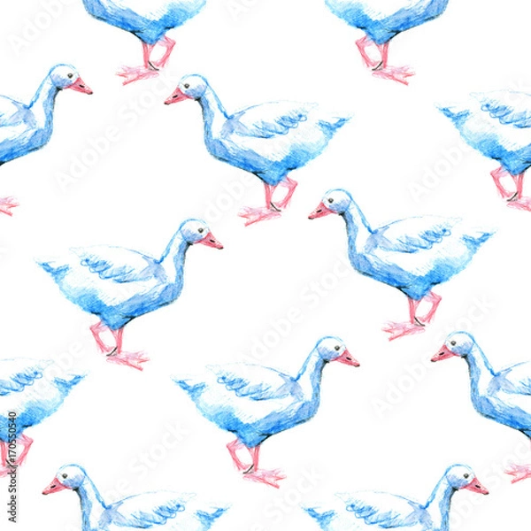 Obraz Watercolor pencil seamless pattern with geese